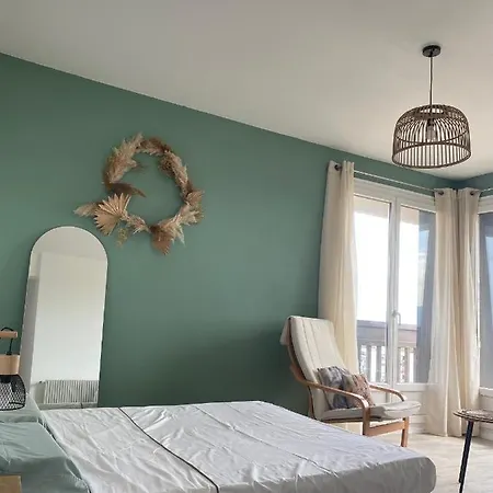 公寓 Vue Magnifique + Parking 佩皮尼昂